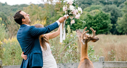 Vjenčane fotke uljepšala im znatiželjna srna koja je htjela samo jednu stvar