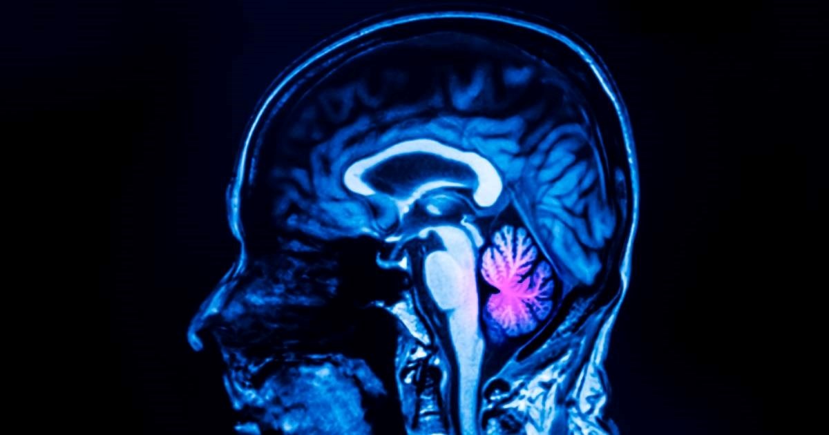 Znanstvenici otkrili novu funkciju malog mozga