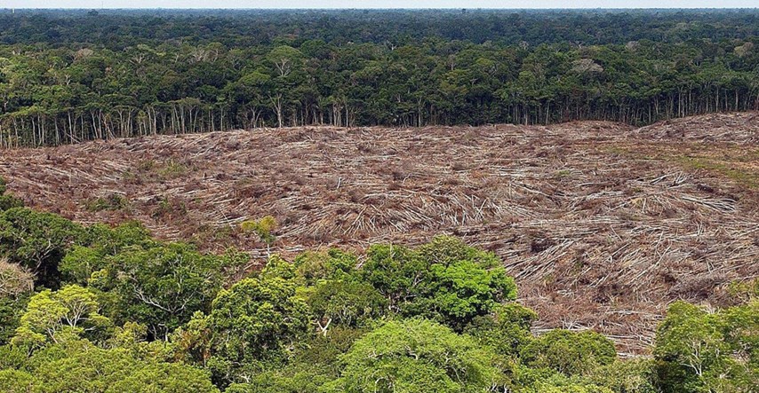 U svijetu se svakih šest sekundi uništi prašuma veličine nogometnog igrališta