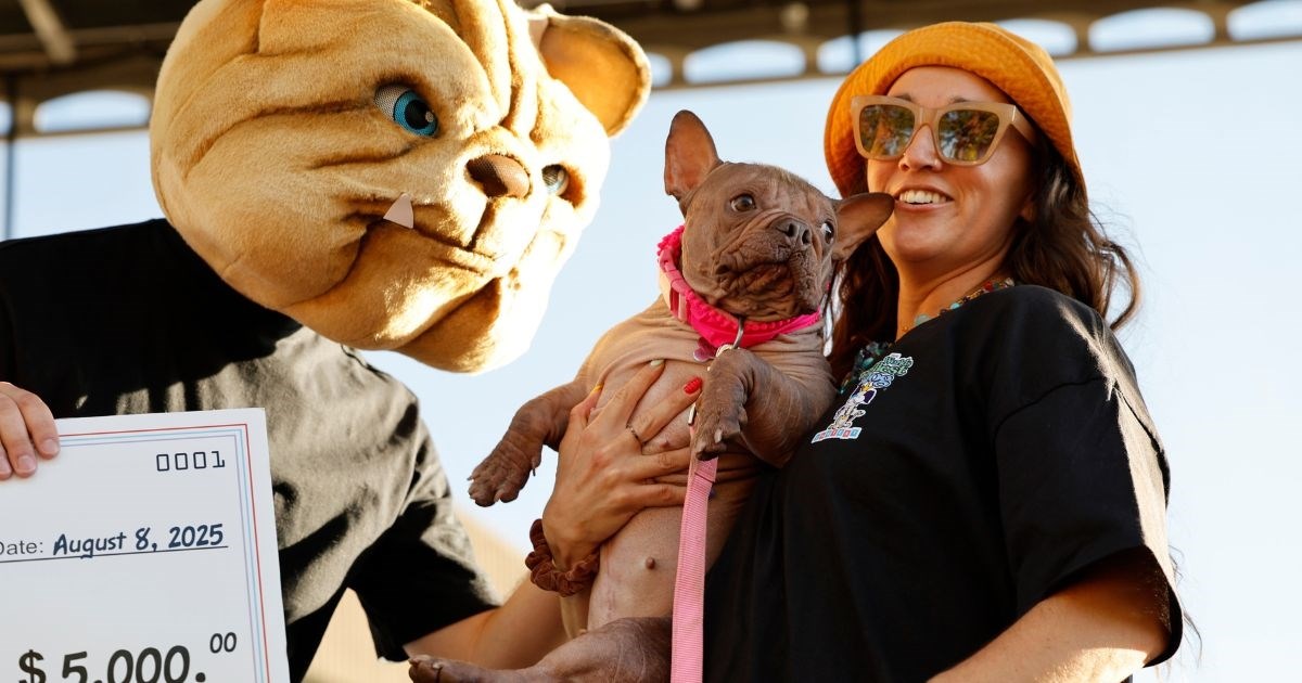 Mješanka francuskog buldoga bez dlake proglašena najružnijim psom na svijetu