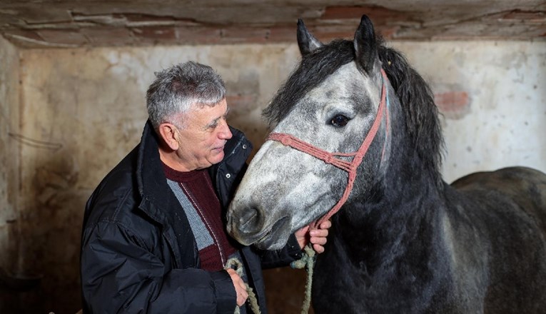 Evo što se dogodilo s konjem koji je nakon potresa rasplakao Hrvatsku