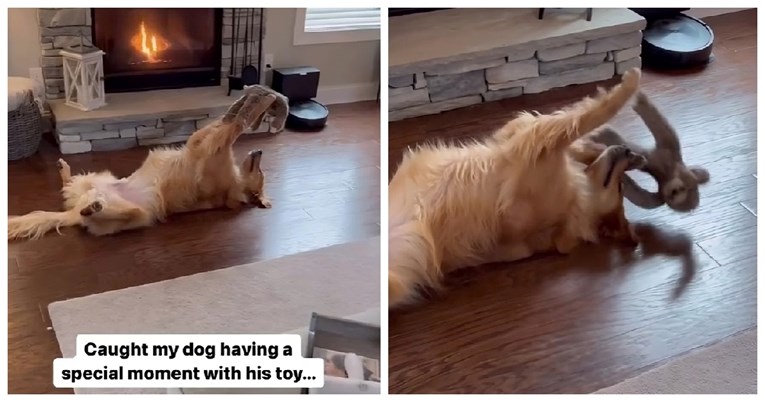 Video psa koji šapama drži svog plišanca i nježno ga gleda osvojio je internet