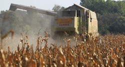 Država od male tvrtke kupuje 75.000 tona kukuruza, cijena je 25% veća od tržišne