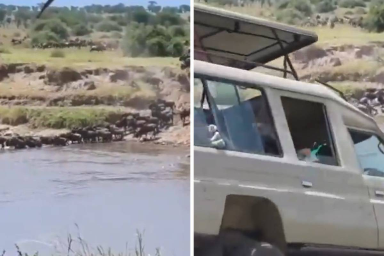 VIDEO Džip s turistima sletio u rijeku punu krokodila u Tanzaniji