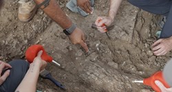 U Gruziji pronađen ljudski zub star 1.8 milijuna godina