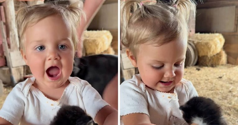 Djevojčica prvi put uzela mačića u ruke i potpuno se zaljubila