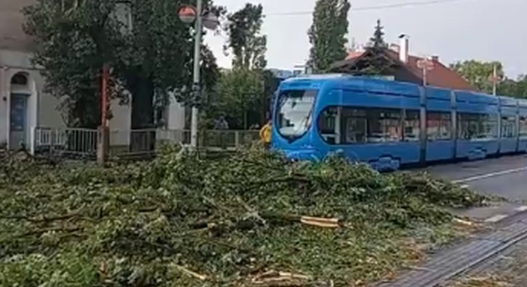 VIDEO Drvo palo na tračnice na Savskoj u Zagrebu, kaos u prometu