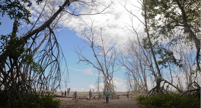 Predsjednik summita o klimi: Svijet gubi utrku s klimatskim promjenama