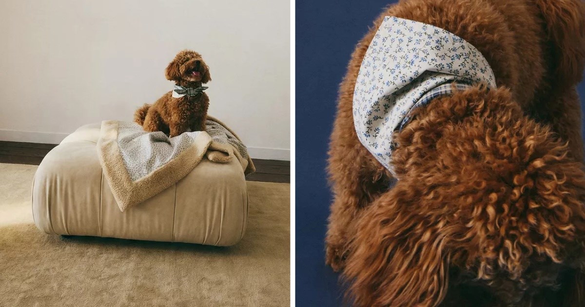 Zaljubili smo se u novu kolekciju za kućne ljubimce iz Zare