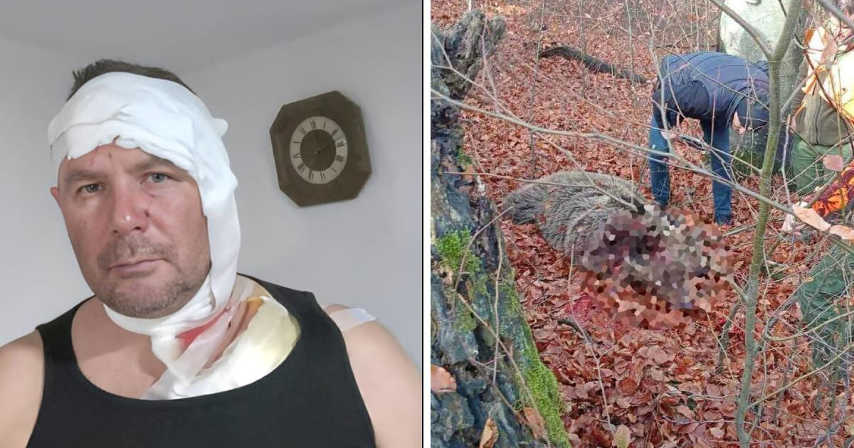 Lovac iz BiH preživio napad medvjedice: "Osjetio sam kako me kandžama hvata za glavu"