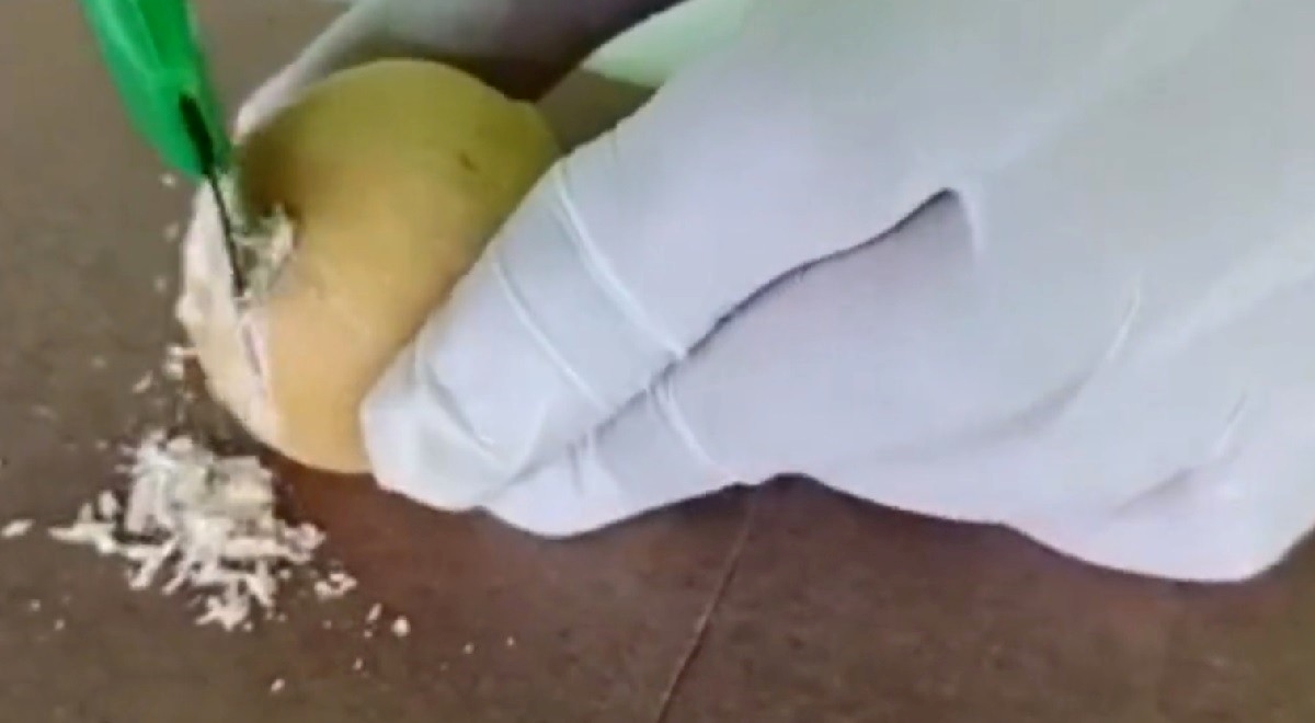 VIDEO Na Karibima zaplijenjena tona kokaina, bio je skriven u krumpiru