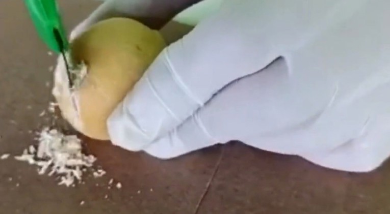 VIDEO Na Karibima zaplijenjena tona kokaina, bio je skriven u krumpiru