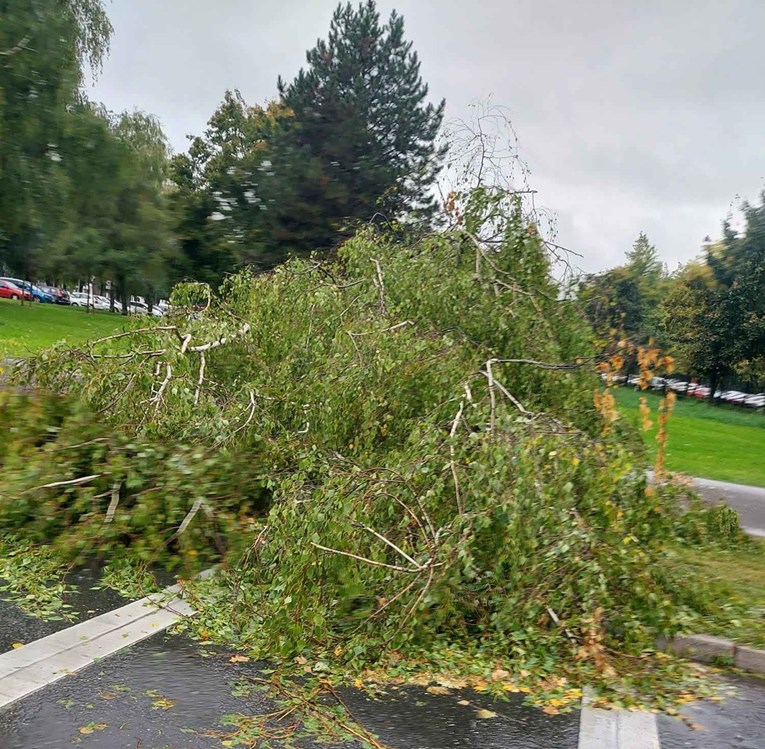 Poplavljeni podrumi, ceste, na pješaka u Novom Zagrebu palo stablo