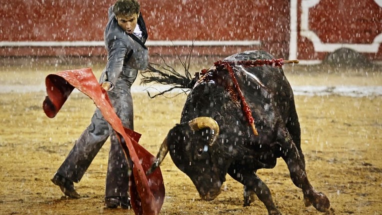 U Kolumbiji zabranjene borbe s bikovima