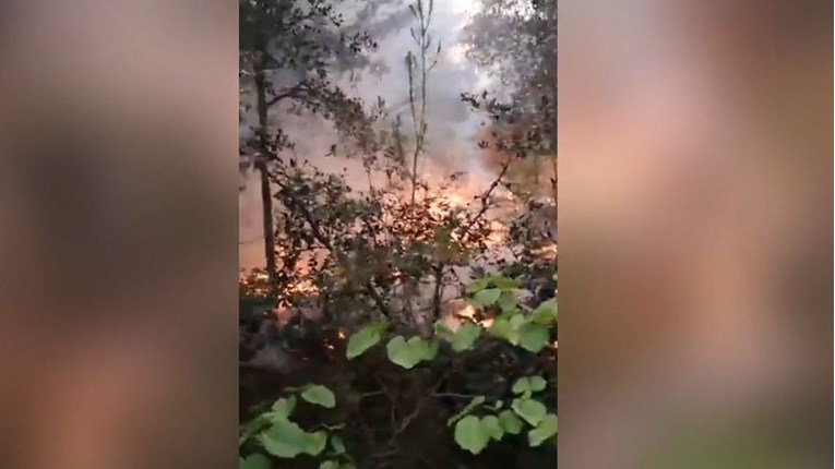 Požar na Zrću: Na terenu više od 40 vatrogasaca, gasi ga i kanader
