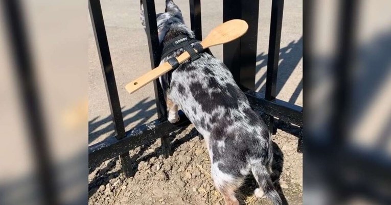 Pas joj se stalno iskradao kroz ogradu pa je pronašla genijalno rješenje