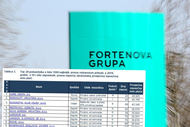 Evo gdje su u Hrvatskoj najveće plaće. U TOP10 su Agrokor i jedan nogometni klub