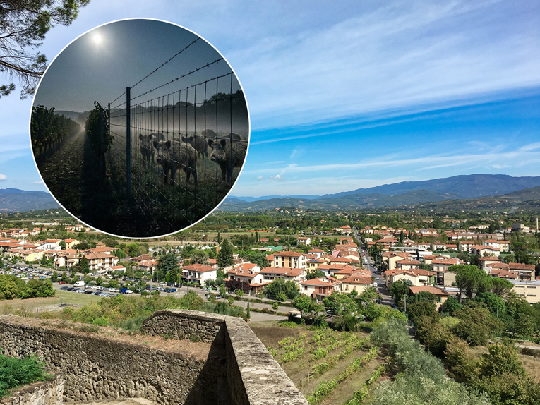 U Italiji Albanac išao u pljačku, poginuo na ogradi postavljenoj zbog divljih svinja