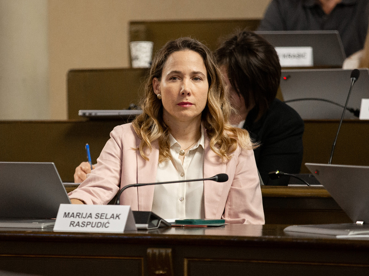 Selak Raspudić Tomaševiću: Ušli ste u elitno društvu kriminalaca s HDZ-om