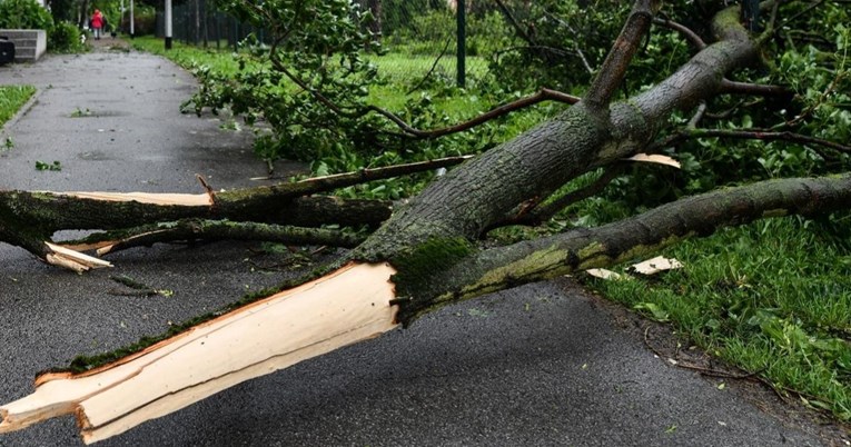 Olujno nevrijeme kod Siska, vjetar rušio stabla