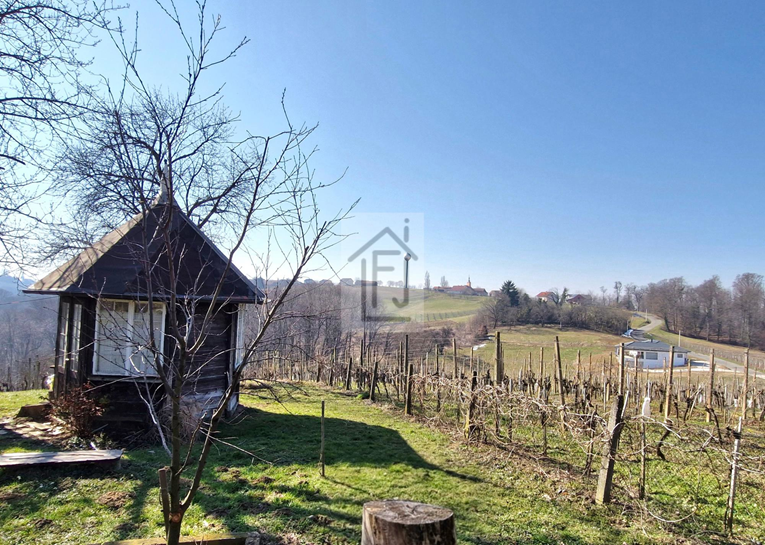 Na Index Oglasima osvanulo imanje s kućom i vinogradom u Međimurju. Pogledajte cijenu