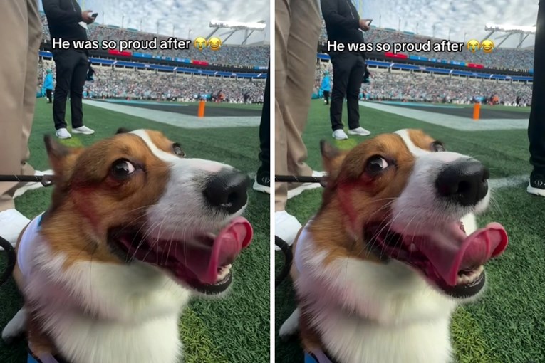 Korgi Elvis ukrao show na utakmici, video je hit