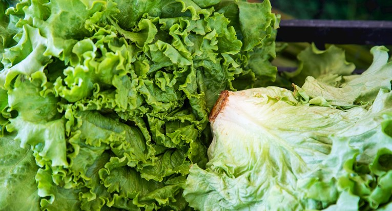 Odličan trik za vraćanje uvenule zelene salate natrag u život