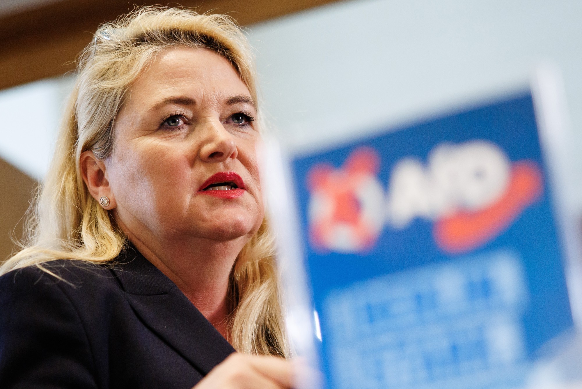 Izborne projekcije: AfD vodi u Mecklenburg-Zapadnom Pomorju, Ljevica u Berlinu