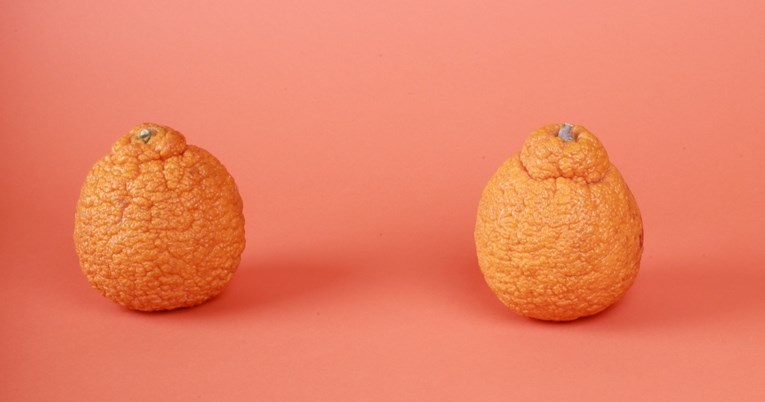 Što su sumo naranče? Upoznajte ukusno voće koje je zaludjelo TikTok