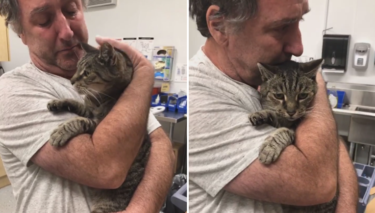 Susreo se s izgubljenim mačkom nakon 7 godina i nije mogao zadržati suze