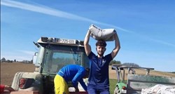 Dinamov nogometaš sije kukuruz na polju