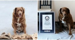 Bobiju oduzeli titulu najstarijeg psa na svijetu jer se sumnja na prevaru