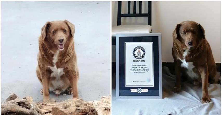 Bobiju oduzeli titulu najstarijeg psa na svijetu jer se sumnja na prevaru