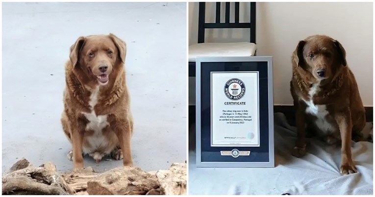 Bobiju oduzeli titulu najstarijeg psa na svijetu jer se sumnja u prevaru
