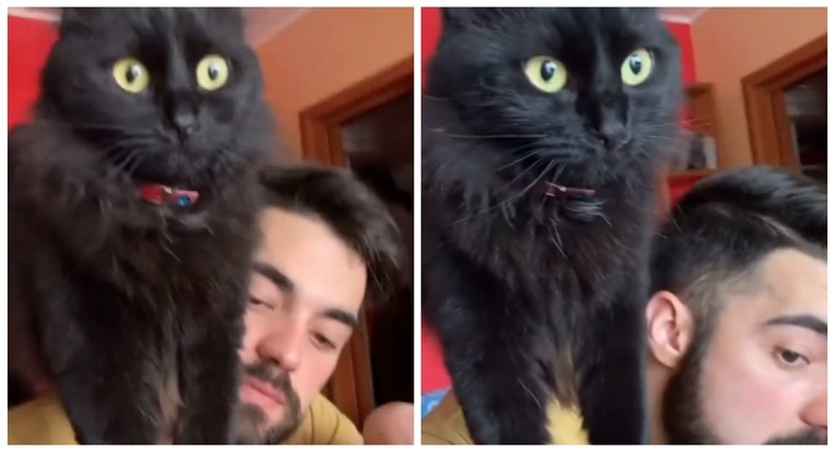 VIDEO Njegova mačka ima čudnu naviku, sve je snimio mobitelom