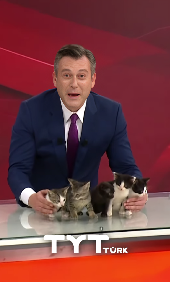 Turski voditelj vijesti prekinuo program zbog važne objave, dirnuo je mnoge