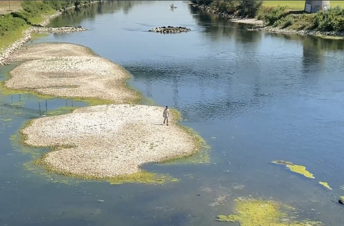 Jeste li ikad vidjeli ovakvu Savu u Zagrebu? Hodali smo po "otocima" nasred rijeke