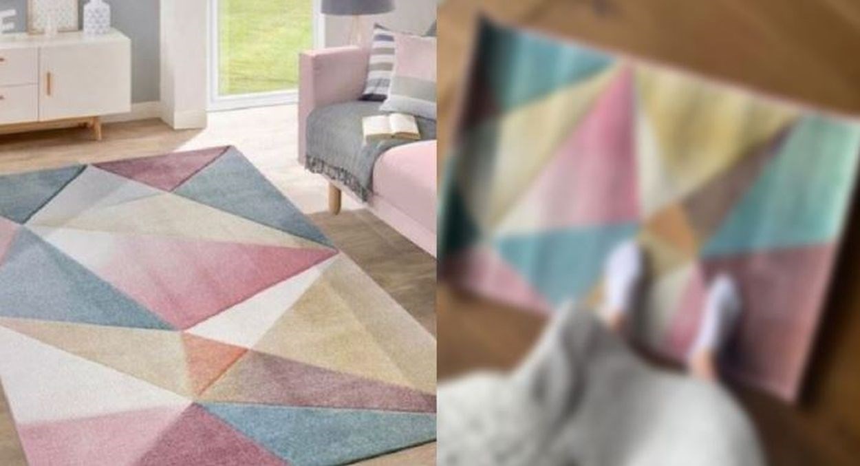 Naručila je tepih s interneta, iznenadila se onim što joj je stiglo na adresu