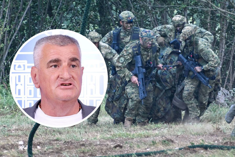 Bulj o odlasku vojnika na mimohod u Pariz: "Neće oni ginuti za tuđe interese"