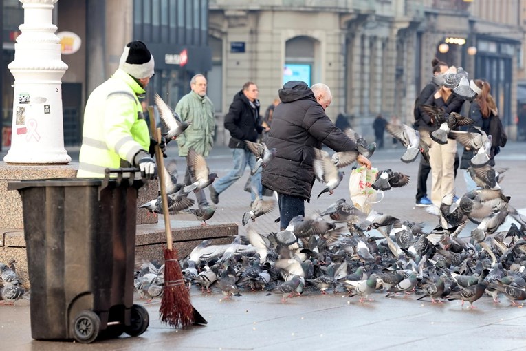 Scena na Trgu bana Jelačića potakla raspravu: Treba li zabraniti hranjenje golubova?
