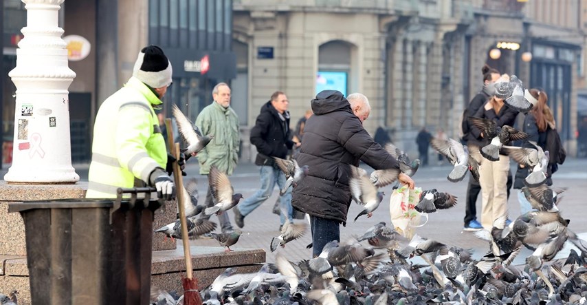 Scena na Trgu bana Jelačića potakla raspravu: Treba li zabraniti hranjenje golubova?