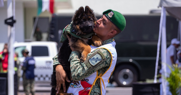 Nakon što mu je pod ruševinama uginuo pas tragač, Meksiko dobio štene od Turske