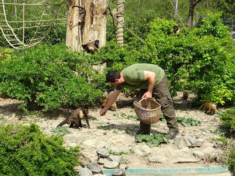 Šarene pisanice za životinje i velika zabava za djecu u zagrebačkom Zoološkom vrtu