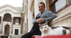 Konobar Viktor uslužuje macu Maju, jedinog gosta kafića na Peristilu