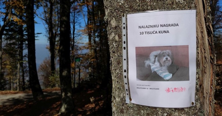 Vlasnik u Zagrebu nudi nagradu od 10.000 kn onome tko mu pronađe i vrati nestalog psa