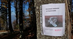 Vlasnik u Zagrebu nudi nagradu od 10.000 kn onome tko mu pronađe i vrati nestalog psa