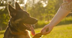 VIDEO Ovaj pas ima prirodni talent kojim pomaže spasiti svoju vlasnicu