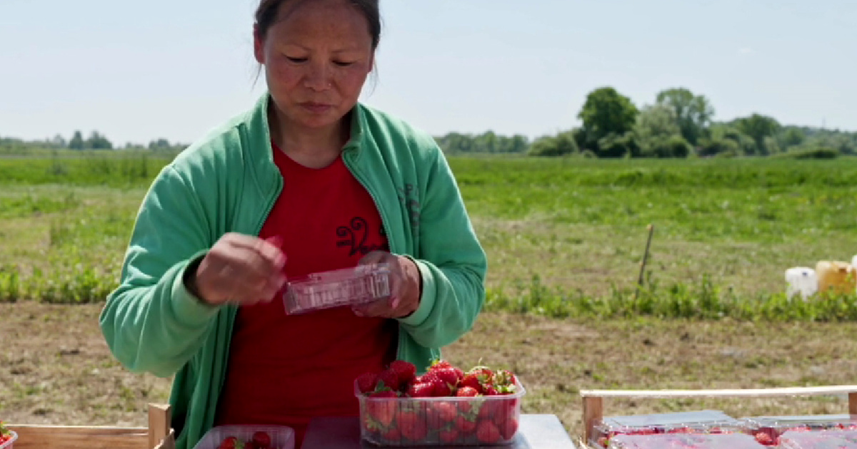 Nepalka tri godine radi na OPG-u kod Siska: "Želim omogućiti sinu da ostvari san"