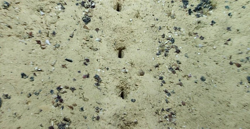 Znanstvenici zbunjeni misterioznim rupama koje neprestano nalaze na dnu oceana