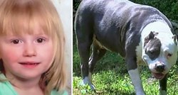 Kujica pit bula je dva dana čuvala djevojčicu koja je nestala iz kuće